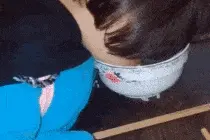 搞笑GIF：我说怎么不动了，原来吃饭也能睡着啊图片