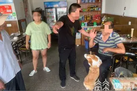 萌宠柯基引发一场“战争”，结果惊动了警察……图片