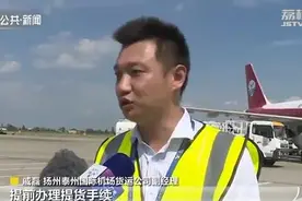大熊猫“云儿”、“震生”来江苏了！落户盐城大丰图片