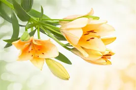 一个人很久不发朋友圈，你知道这意味着什么吗？有三个信号图片