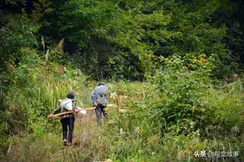 花甲夫妻吃喝不愁，却仍在深山中种粮食，收成靠“抢”图片