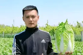 85后山东小伙毕业卖菜，从40亩到上万亩年入千万，他却说不值一提图片