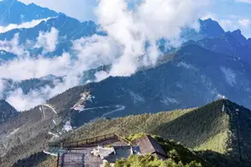 如何用秦岭的乡土植物，修复秦岭破损的山体？图片