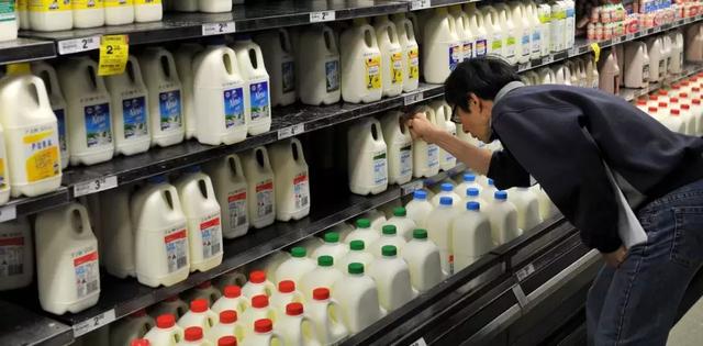 纯牛奶、早餐奶、儿童奶、高钙奶……什么样的牛奶才最有营养？