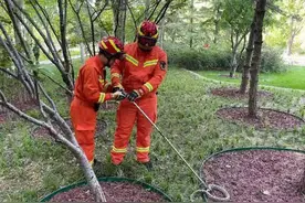 北京消防“五一”捉蛇记图片