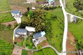 湖北建始罗家坝：铺就小康幸福路图片