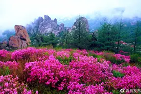 2020青岛市登山节7月25日启动，19个公园、景区免费开放图片