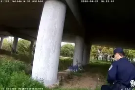 男子睡到野地里打游戏，被警察找到后发飙：谁再吵我直接打人图片