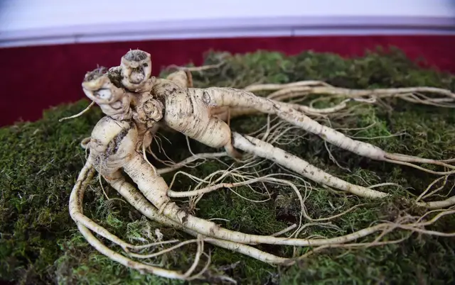 这些保健品都很坑，过年别送