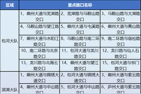 注意！合肥城区新增23处高清视频监控，都在这些路段图片