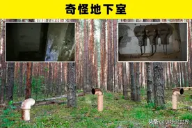 森林发现：人们在森林里发现的7个恐怖的东西图片
