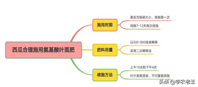 西瓜膨瓜妙用氨基酸叶面肥，增加甜度，收益更高！从4方面讲解