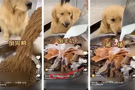 鸣镝 |“宠物大胃王”当休矣图片