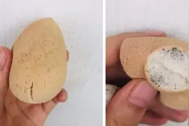 终于知道化妆师，为啥用刷子上妆，化妆蛋不清洗剪开都发霉了图片