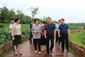 渭河变了，为何变了？图片