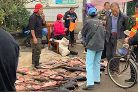 十一长假好去处｜揭开神秘面纱，老王带大家去买真正的水库鱼图片