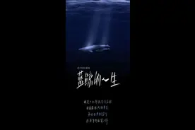 蓝鲸的一生：鲸落是什么图片