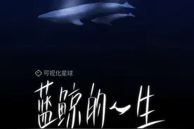 蓝鲸的一生：鲸落是什么图片