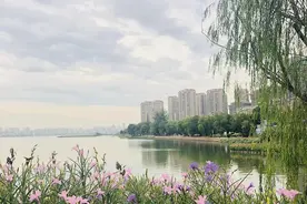武汉城投瀚城·璞岸230㎡户型解析，业主需求一应俱全满足图片