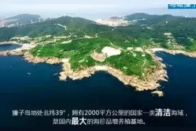 历时6年，造假4次！獐子岛“扇贝去哪儿了”迎终极结局图片