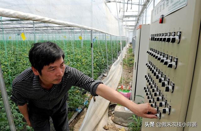 腐植酸、氨基酸、海藻酸、鱼蛋白，都是啥肥料？都有啥作用？