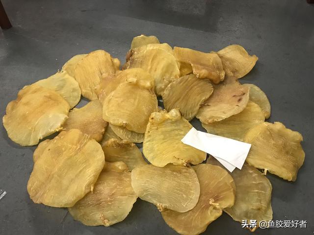 赤鳘花胶适合孕妇吃吗 2026年孕妇吃花胶最佳时间