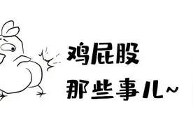 鸡屁股美容养颜？不好意思，我不敢吃图片