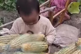 河北1岁男孩徒手擒获2只老鼠向妈妈邀功，妈妈看后差点被送走图片