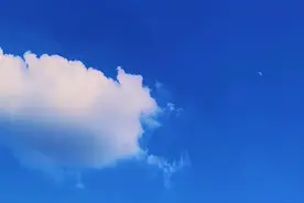 空有人间自由身，确非人间自由人图片
