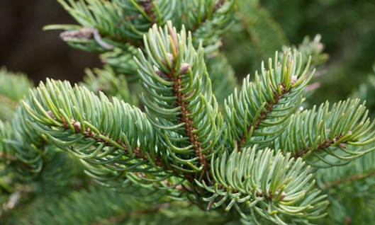 建议女人：遇到这8款洗面奶，别犹豫！虽平价但是真心好用