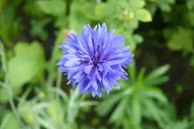 一个人突然不发朋友圈了，往往是这几种心态图片