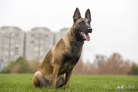 你以为你是谁图片