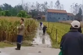 天气预报：2021年秋季为啥雨多？前期早有预兆，看祖辈人说啥图片