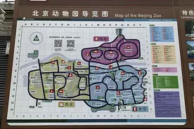 北京动物园让人有些失望图片