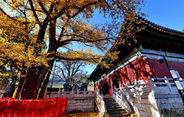 京城十二座著名古寺，祈求什么最灵验？赶紧看过来