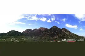 解密大泽山葡萄：顺丰在这里开了条“葡萄专线”，财神节变了葡萄节图片