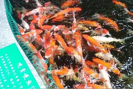 发生在我自己身上的一个真实的故事图片