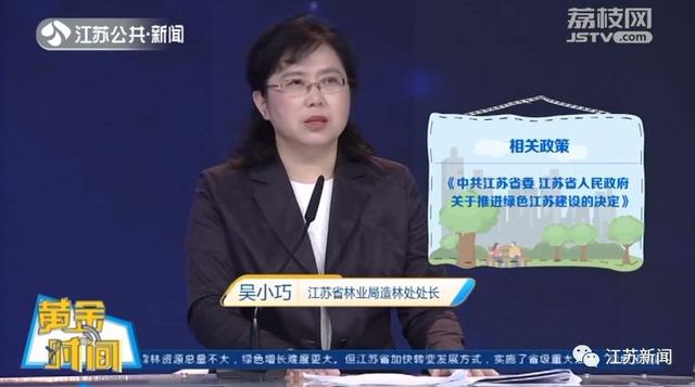 再不用靠进口！全国近1/3的碧根果竟产自江苏这里丨黄金时间