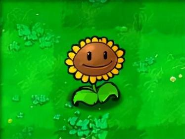 植物大战僵尸1老版本中文版