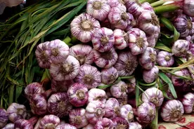 吃不完的大蒜要如何保存？蒜贩子教我土方法，放1年都不会坏图片