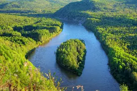 广西的山变绿了，水变清了，为什么反而“无鱼可捕”图片