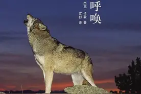 书评｜它最终还是回到了属于它的世界—《野性的呼唤》图片