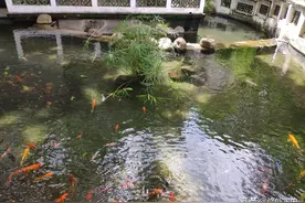 中等收入陷阱的本质图片