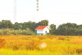 尿酸高痛风和豆制品间的纠葛，是敌是友？现在应该化解了，快收藏图片