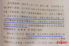 大学生卖2只人工养殖鹦鹉获刑6年，有必要如此严厉吗图片
