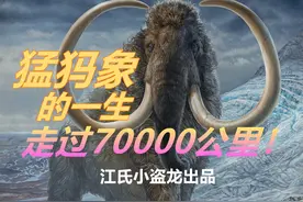 古生物学家还原猛犸象传奇的一生图片