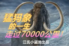 古生物学家还原猛犸象传奇的一生图片