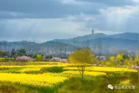 信阳光山非遗：净居寺庙会图片