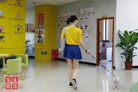 文明养犬 | 免费办犬证！这份最全办证攻略，赶紧进来看图片