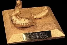 厨艺我只佩服日本和印度！日本把翔做成菜，印度把菜做成翔图片